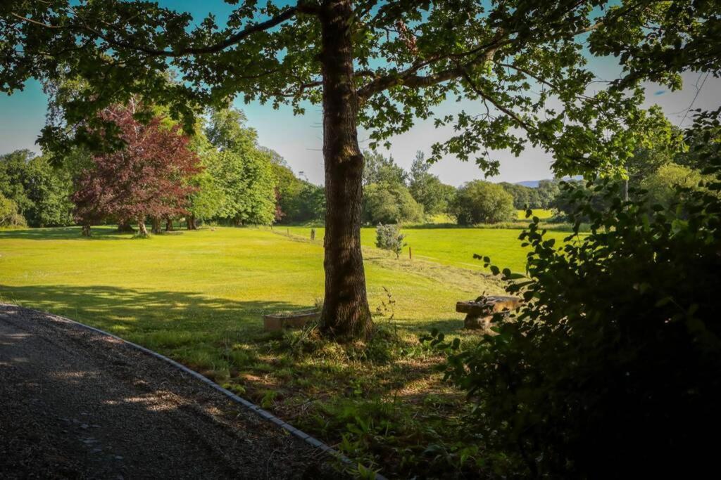 5* Self Catering Villa Nenagh Eksteriør billede
